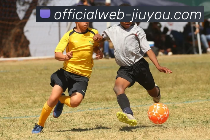 九游体育全站App